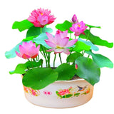 Bowl Lotus Seeds