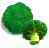 Broccoli  seeds