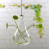 Hanging Glass Planters