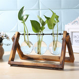 Glass and Wood Vase Propagation Station