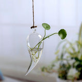 Hanging Glass Planters