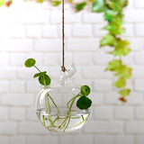 Hanging Glass Planters