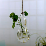 Hanging Glass Planters