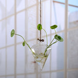 Hanging Glass Planters