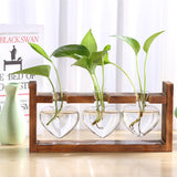 Glass and Wood Vase Propagation Station