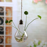 Hanging Glass Planters