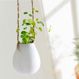 Hanging Ceramic Planter
