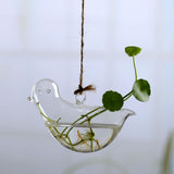 Hanging Glass Planters