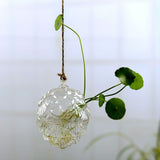 Hanging Glass Planters