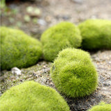 Moss Stones