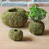 Kokedama Moss Ball Planter