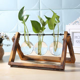 Glass and Wood Vase Propagation Station
