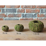 Kokedama Moss Ball Planter