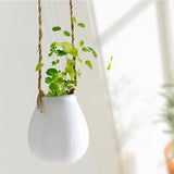 Hanging Ceramic Planter