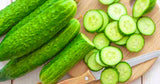 Netherlands fruit cucumber seeds