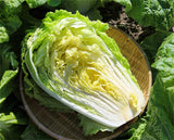 Chinese Cabbage seeds