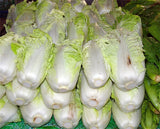 Chinese Cabbage seeds