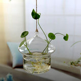 Hanging Glass Planters