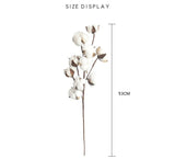 Naturally Dried Faux Cotton Flower