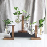 Glass and Wood Vase Propagation Station