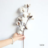 Naturally Dried Faux Cotton Flower